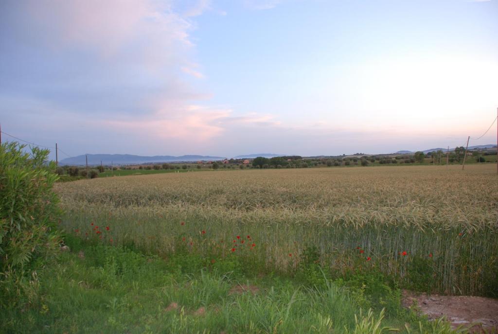 Agriturismo Le Coccinelle Guest House Magliano in Toscana Eksteriør bilde