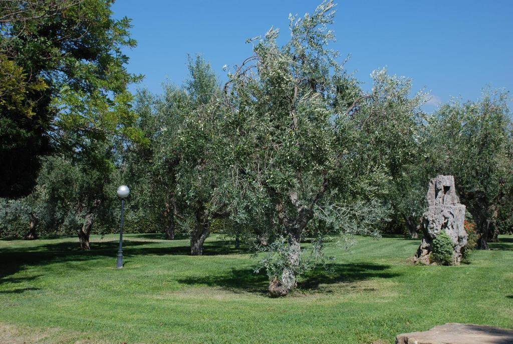 Agriturismo Le Coccinelle Guest House Magliano in Toscana Eksteriør bilde