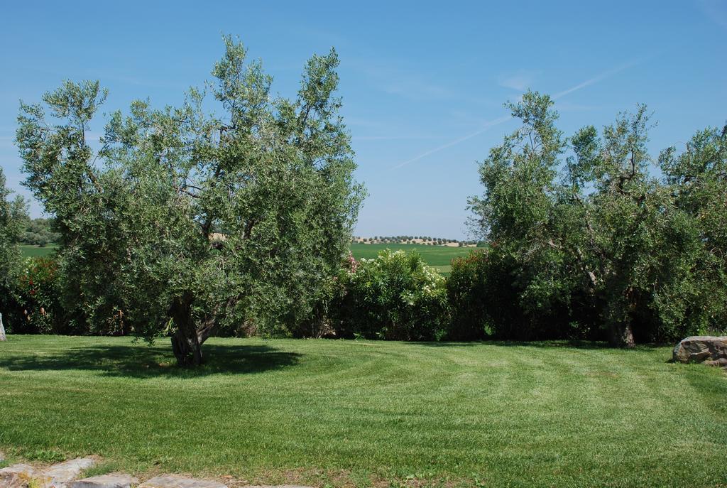 Agriturismo Le Coccinelle Guest House Magliano in Toscana Eksteriør bilde