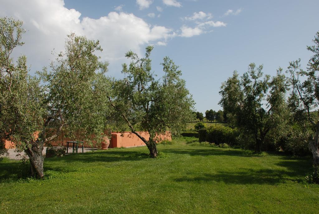 Agriturismo Le Coccinelle Guest House Magliano in Toscana Eksteriør bilde