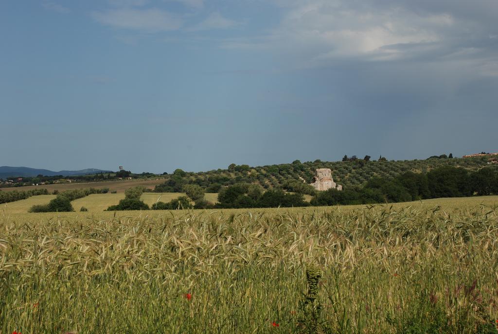 Agriturismo Le Coccinelle Guest House Magliano in Toscana Eksteriør bilde
